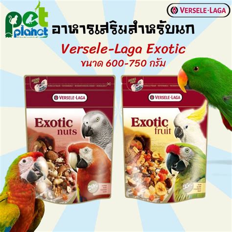 Exotic Bird Snacks Food Parrot Various Nuts Versele Laga Nut Size G