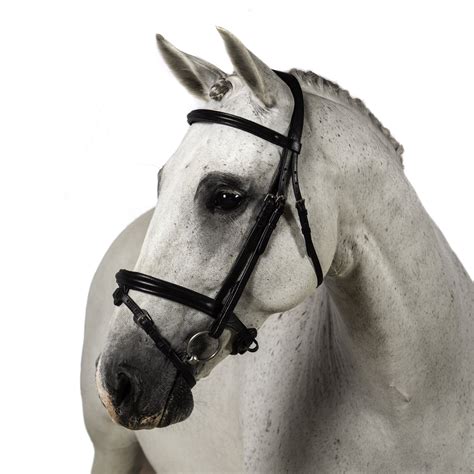 English Horse Bridles | Complete Bridles