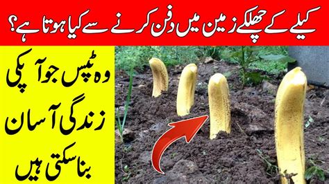 Mind Blowing Facts You Never Knew Amazing Fact Reality Facts Youtube