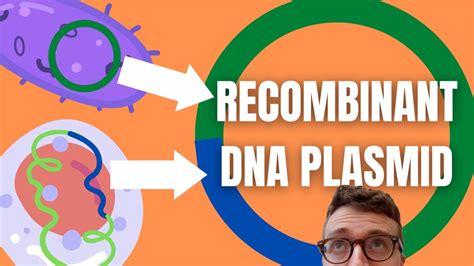 Recombinant Dna Technology Explained For Beginners Youtube