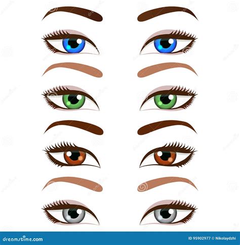 Set of Cartoon Beautiful Women Eyes and Eyebrows. Vector Illustration ...