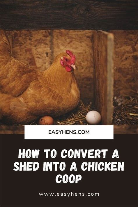 How To Convert A Shed Into A Chicken Coop Chicken Coop Coop Raising