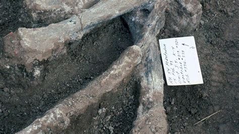 Study Claims Humans Were In North America 130000 Years Ago