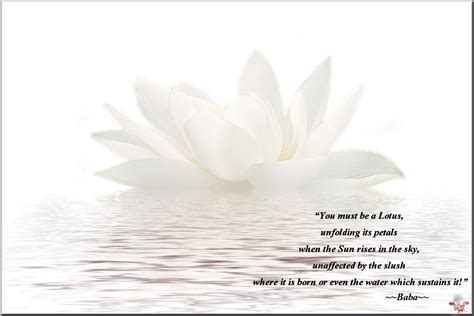 Lotus Quotes. QuotesGram