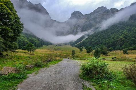 Los Bosques Del Valle De Aran Los R Os Las Cascadas Las Monta As Foto