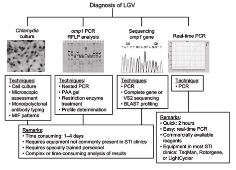 Figure: Diagnosis of lymphogranuloma venereum. MIF,... | Download ...