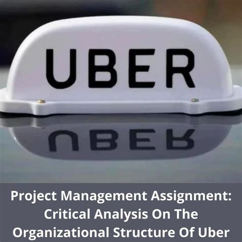 Project Management Assignment Critical Analysis On The Organizational