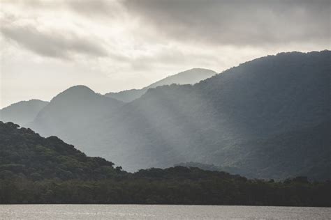 Inside The Campaign To Restore Brazil S Atlantic Forest FairPlanet