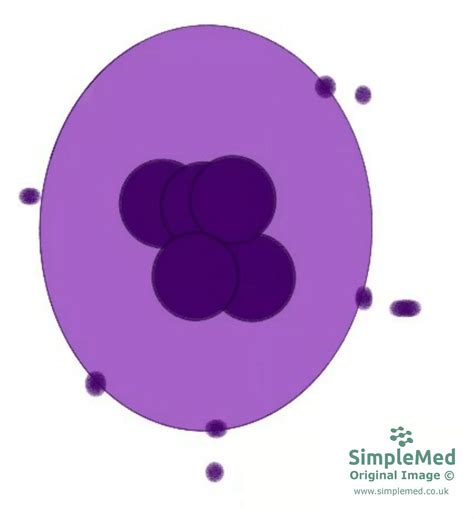 Haemostasis And Clotting Simplemed Learning Medicine Simplified