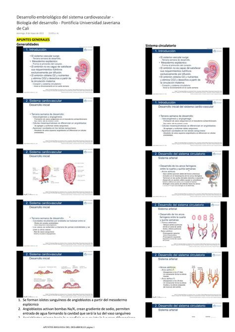 Solution Desarrollo Embriol Gico Del Sistema Cardiovascular Studypool