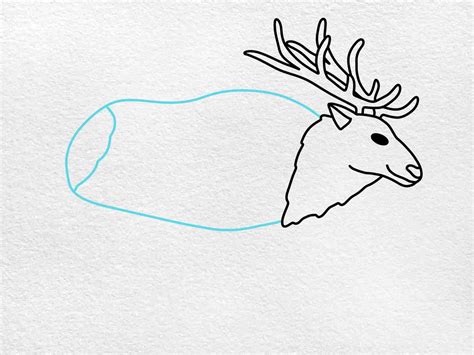 Elk Drawing