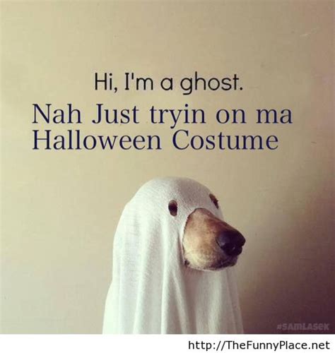 Ghost Dog Quotes. QuotesGram