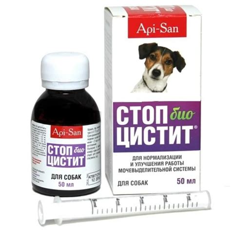 Стоп-Цистит БИО суспензия для собак, 50 мл - купить с доставкой по ...