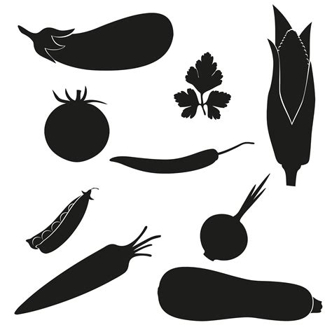 Set Of Icons Vegetables Vector Illustration Black Silhouette 510257