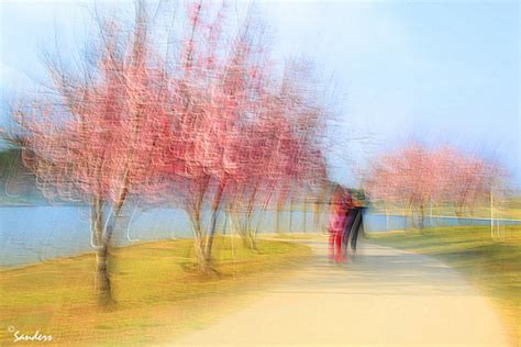 Photo Impressionism: How to Use Your Camera as a Digital Paintbrush ...