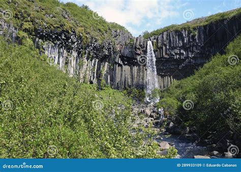 Svartifoss Waterfall Skaftafell National Park Bordering Vatnaj Kull