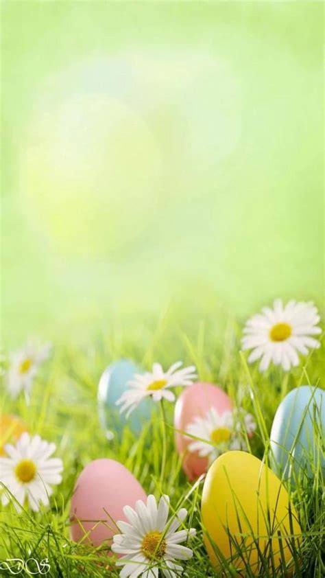 Celebrate the Beginning of Spring With an Easter Background