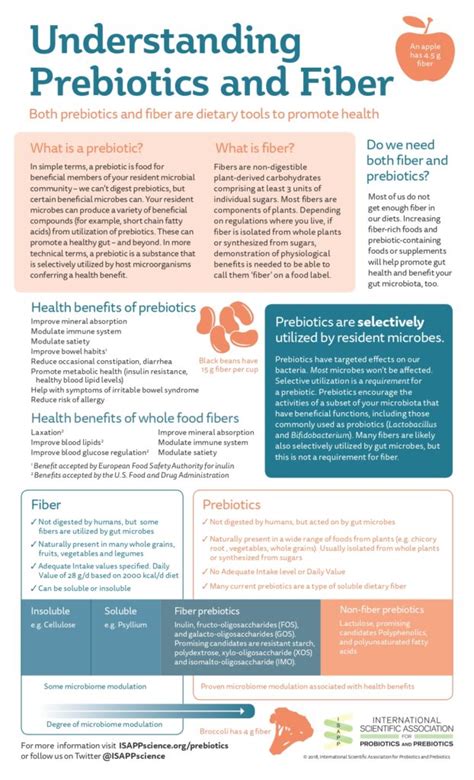 The Different Ways That Prebiotics And Fiber Affect The Gut Microbiota