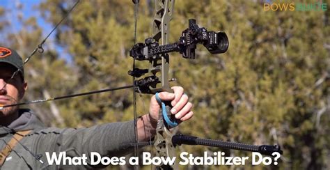 What Does A Bow Stabilizer Do Beginners Guide 2022