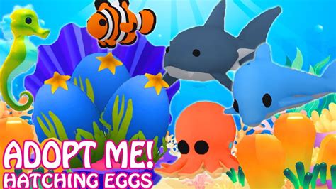 Hatching Ocean Eggs In Adopt Me Can I Get Legendary Roblox Adopt Me