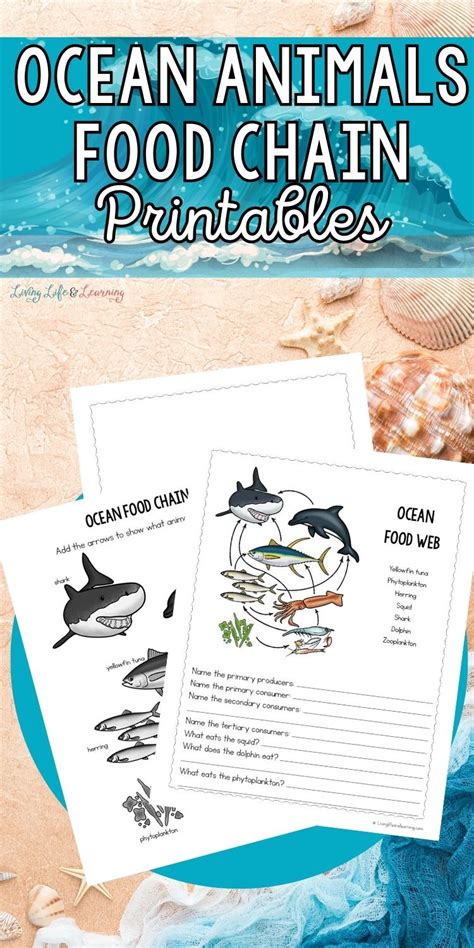 Ocean Animals Food Chain Printables