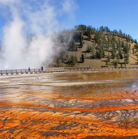10 Best Tours of Yellowstone National Park for Seniors and Over 50s