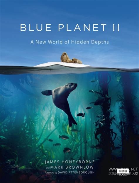 Bbc纪录片《蓝色星球 Ii 第1集：汪洋大海 Blue Planet Ii：one Ocean 2017》第二季第1集 英语中字 1080p