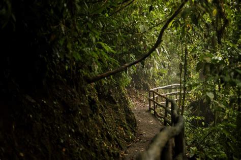 Top 9 Best Hiking Trails in Costa Rica | Unforgettable Adventures Await!