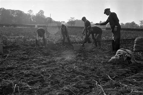 13 Facts About the Irish Potato Famine