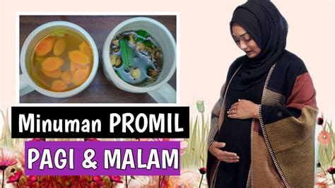 CARA MEMBUAT RAMUAN PROMIL DR ZAIDUL AKBAR YouTube