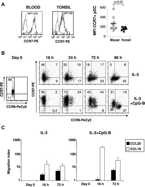 Ccr6ccr10 Mediated Plasmacytoid Dendritic Cell Recruitment To Inflamed