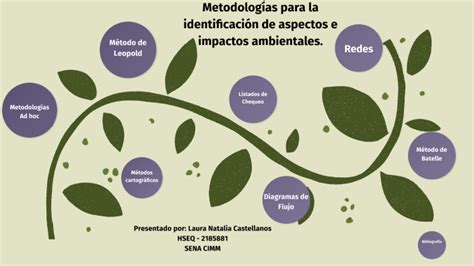 Metodologías para la identificación de aspectos e impactos ambientales