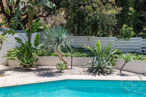 Plantas Para Piscinas Fotos - Melhores Plantas Para Piscinas E 13 Inspirações De Jardins