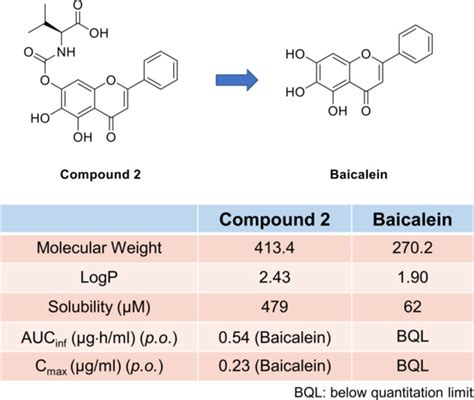 Pharmaceutics Free Full Text Synthesis And Biochemical Evaluation