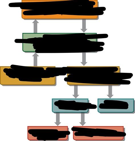 Diagram Diagram | Quizlet 