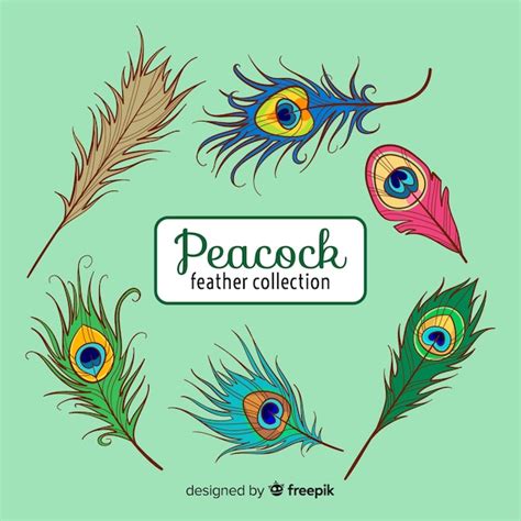 Colección Moderna De Plumas De Pavo Real Dibujadas A Mano Vector Gratis