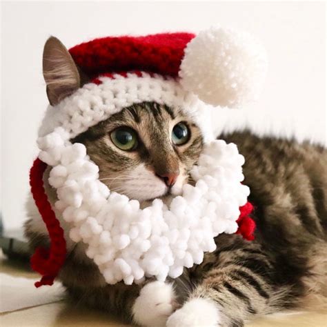 Cat Santa Hat - Etsy