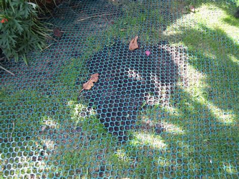 Grassmesh Range Of Recycled Plastic Grass Protection Mesh