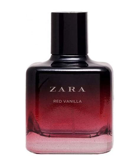 The 10 Best Zara Perfumes In 2024