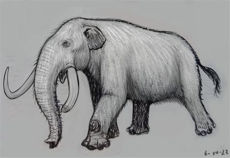 Mixed Sketches Mastodon By Hypoem87 On Deviantart