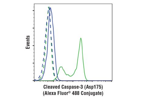 Cstcleaved Caspase 3 Asp175 Antibody Alexa Fluor ® 488 Conjugate优