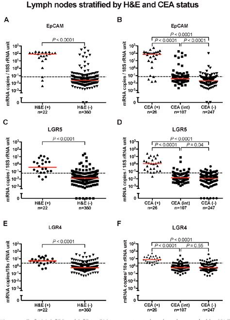 PDF Clinical Significance Of Stem Cell Biomarkers EpCAM LGR5 And