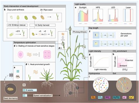 Review: Crop breeding technologies to feed the world (Nature Biotech) | Plantae