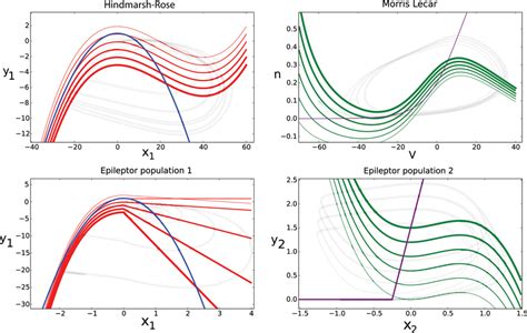 Comparison Of Phase Space Topologies Between Single Neuron Models And