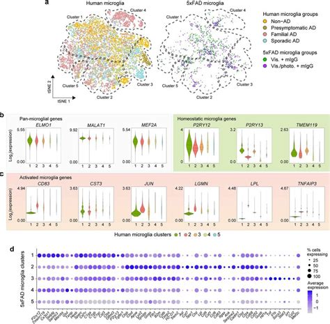 Integrative Analyses Of Gene Expression Profiles Of Microglia From The