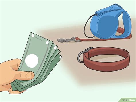 Cómo pasear a tu perro 12 Pasos con imágenes wikiHow