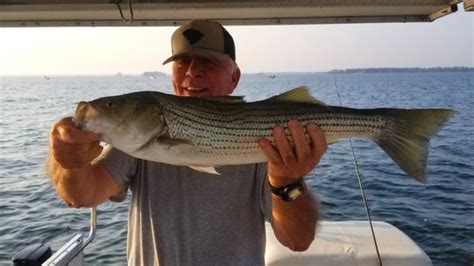 Santees Stripers Are In A Fall Feeding Frenzy Carolina Sportsman