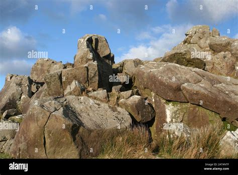 Preseli hills, Pembrokeshire,Wales Stock Photo - Alamy