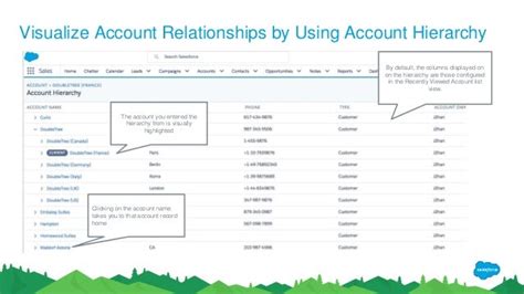 What Is Account Hierarchy In Salesforce Einstein Hub Salesforce Guide