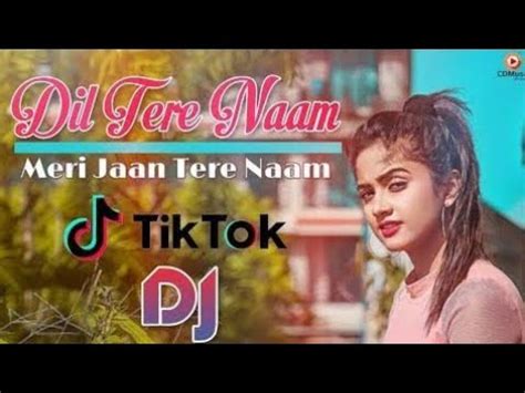 Dil Tere Naam Meri Jaan Tere Naam Tik Tok Famous Song Heardbroken